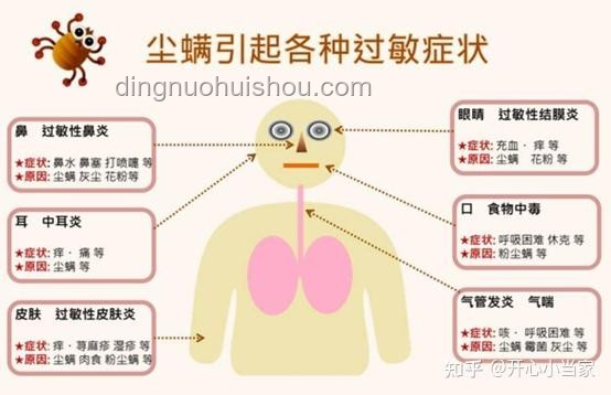 螨虫同杀行业深度洞察：人类与螨虫共存的智慧之战